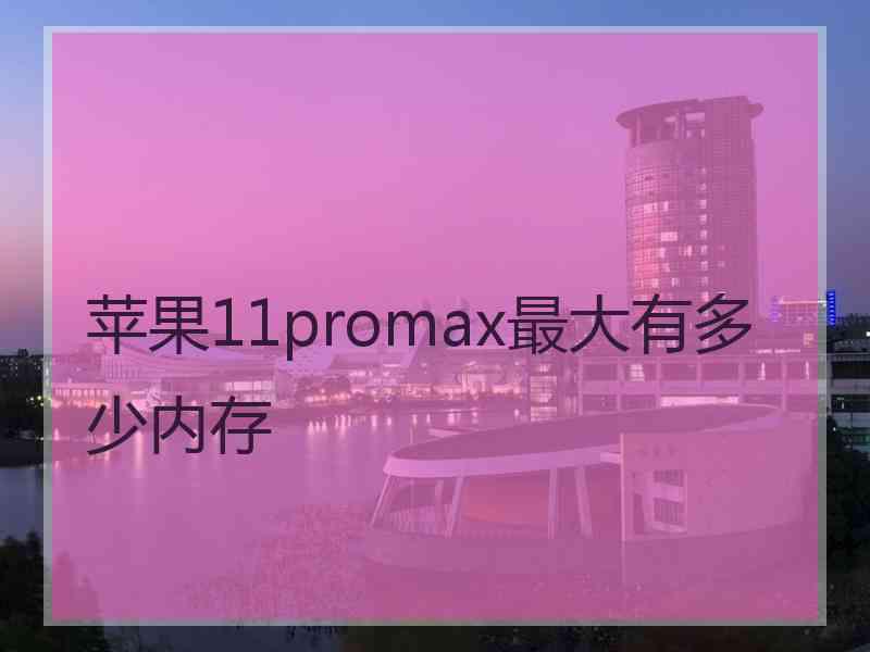 苹果11promax最大有多少内存