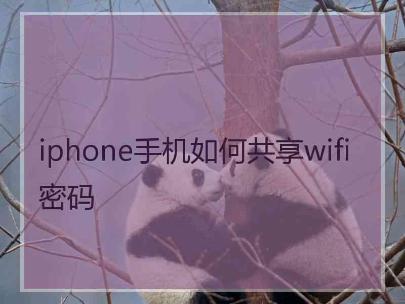 iphone手机如何共享wifi密码