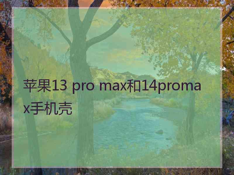 苹果13 pro max和14promax手机壳