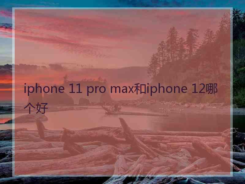 iphone 11 pro max和iphone 12哪个好