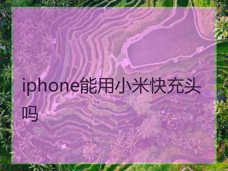 iphone能用小米快充头吗