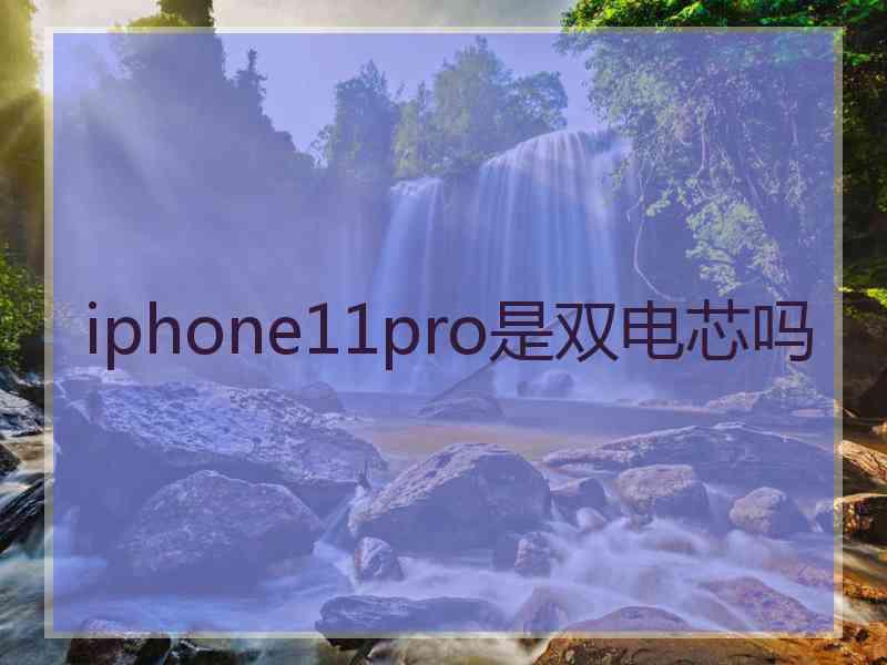 iphone11pro是双电芯吗