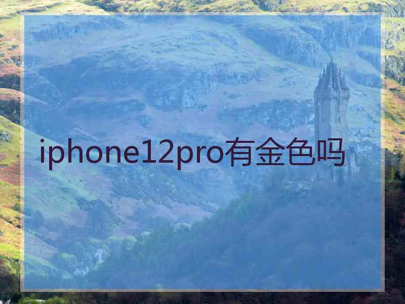 iphone12pro有金色吗