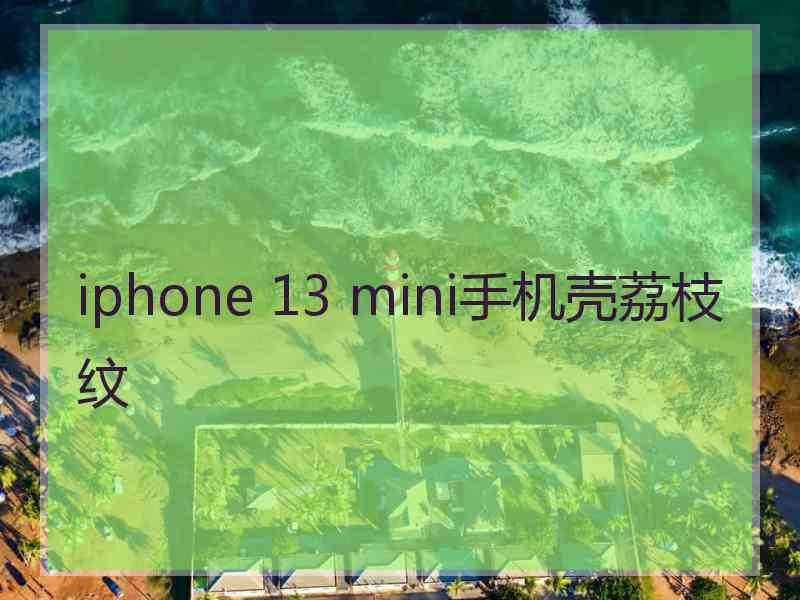 iphone 13 mini手机壳荔枝纹