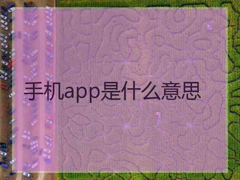 手机app是什么意思