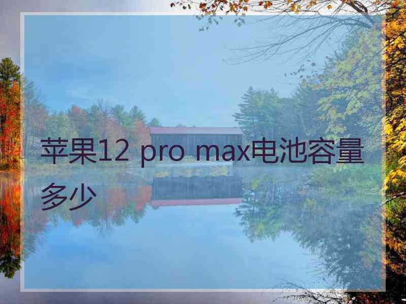 苹果12 pro max电池容量多少