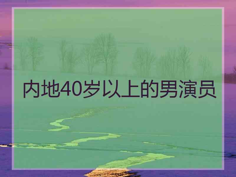 内地40岁以上的男演员