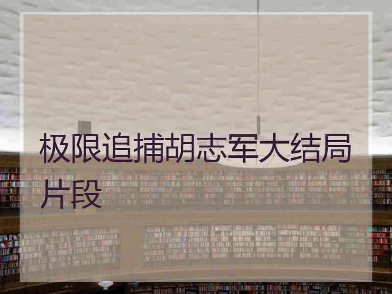 极限追捕胡志军大结局片段