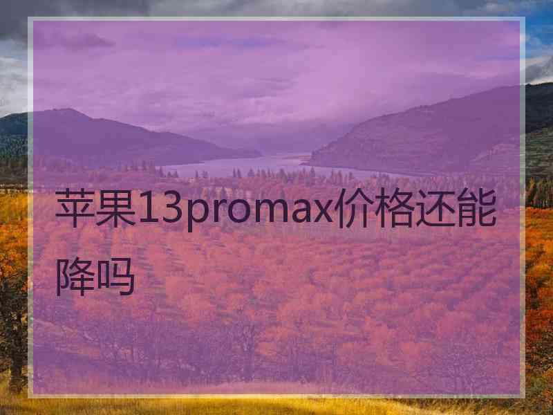 苹果13promax价格还能降吗