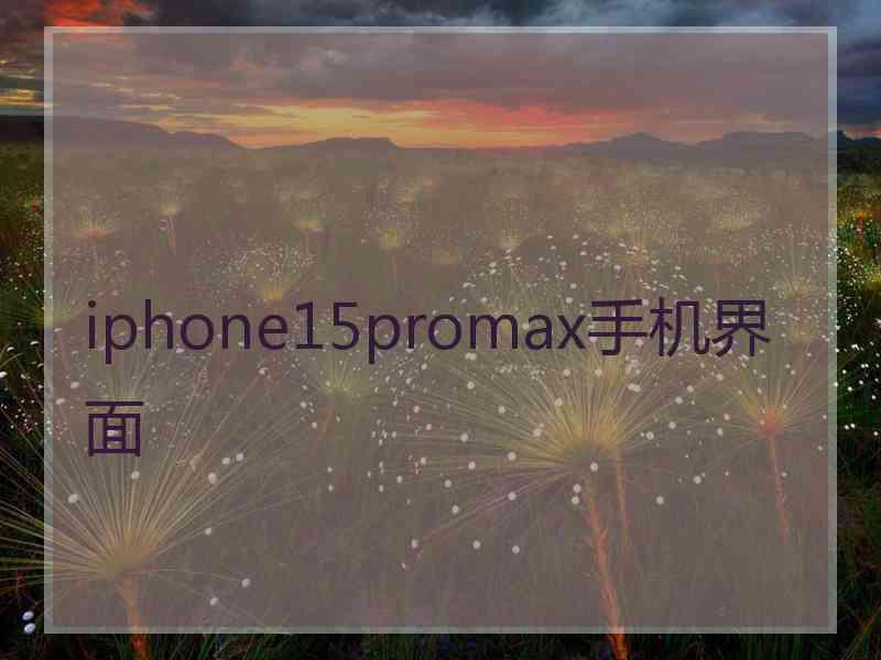 iphone15promax手机界面