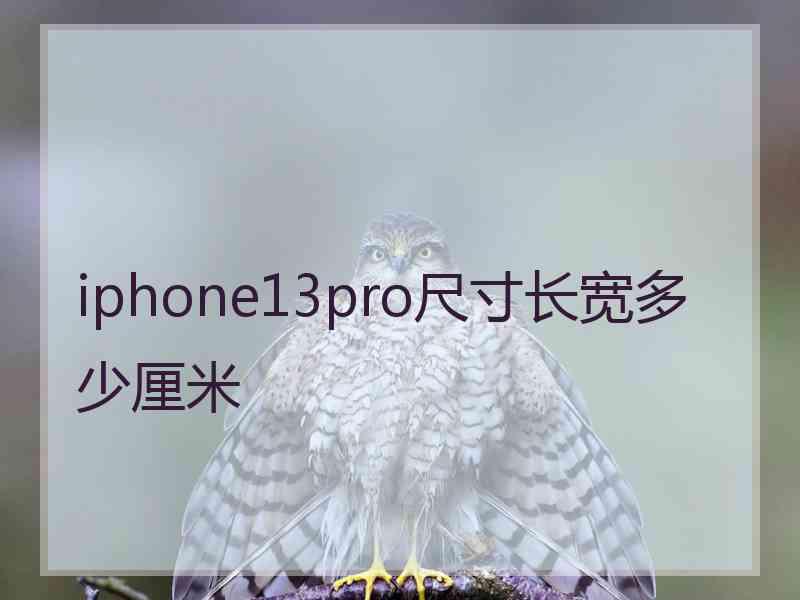 iphone13pro尺寸长宽多少厘米