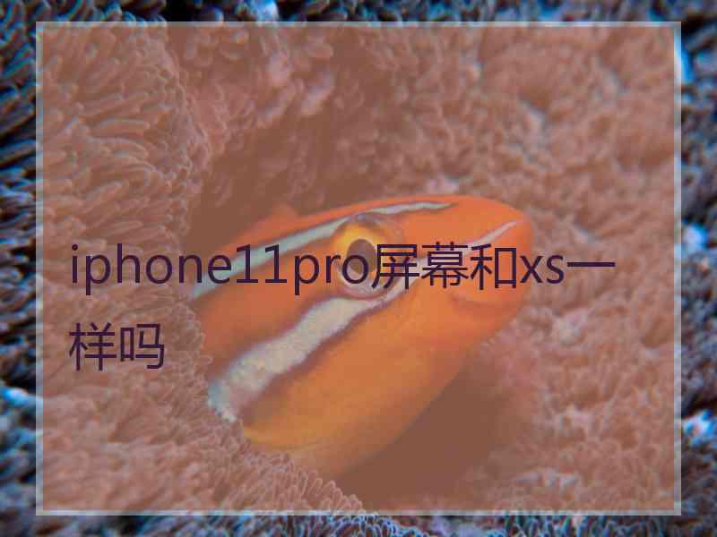 iphone11pro屏幕和xs一样吗