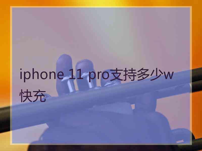 iphone 11 pro支持多少w快充