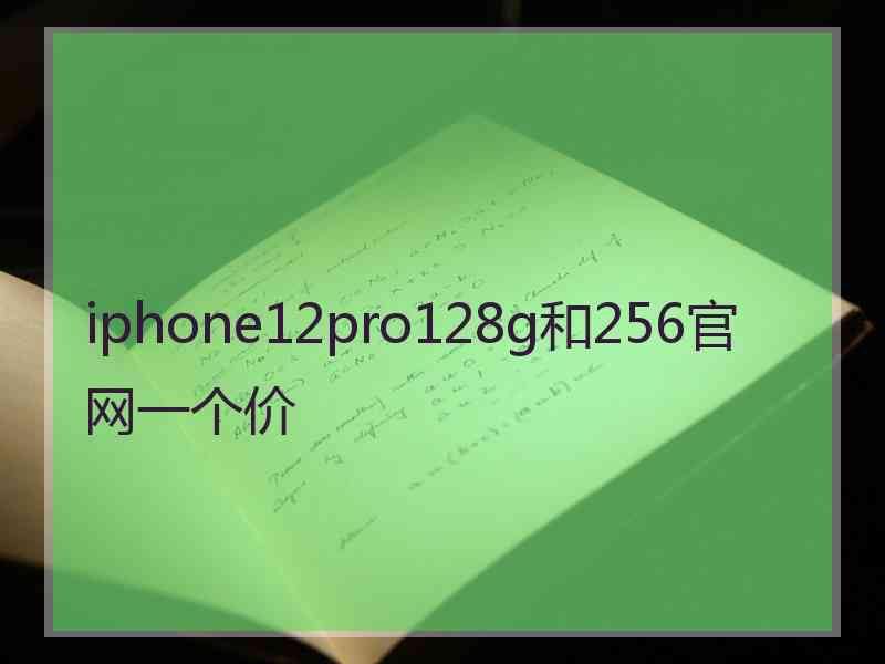 iphone12pro128g和256官网一个价