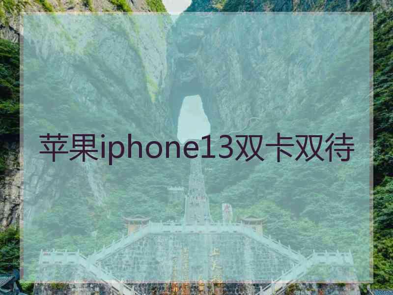 苹果iphone13双卡双待