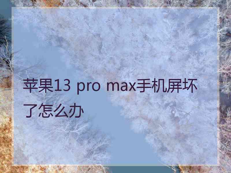 苹果13 pro max手机屏坏了怎么办