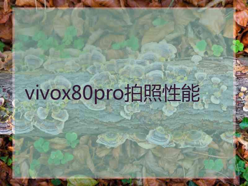 vivox80pro拍照性能