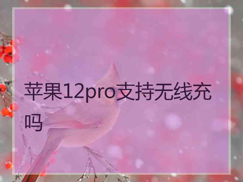 苹果12pro支持无线充吗