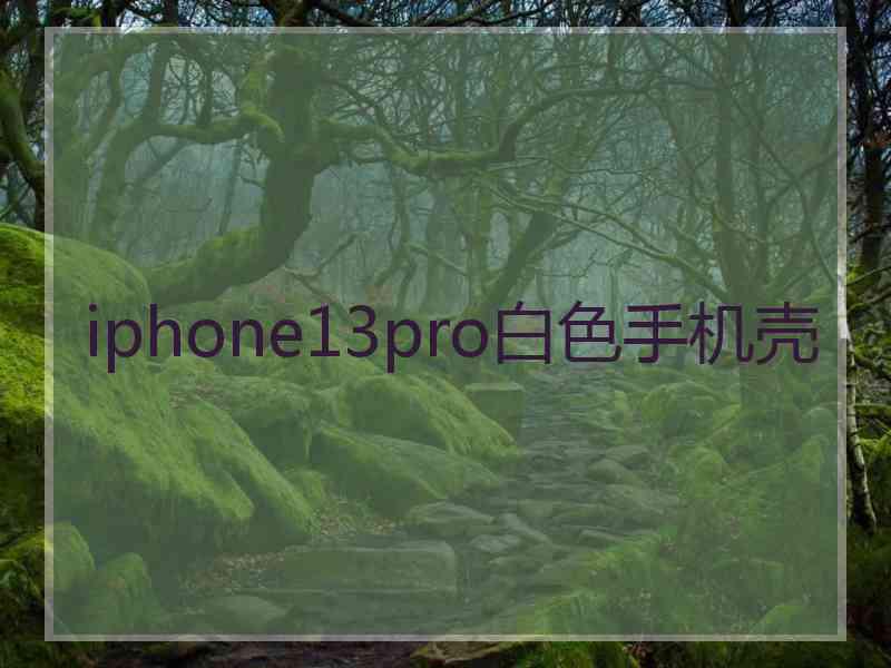 iphone13pro白色手机壳