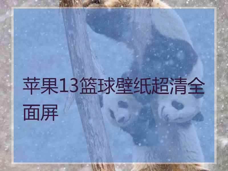 苹果13篮球壁纸超清全面屏