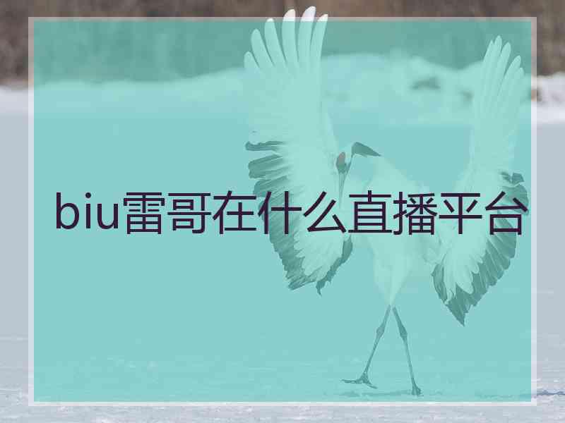 biu雷哥在什么直播平台