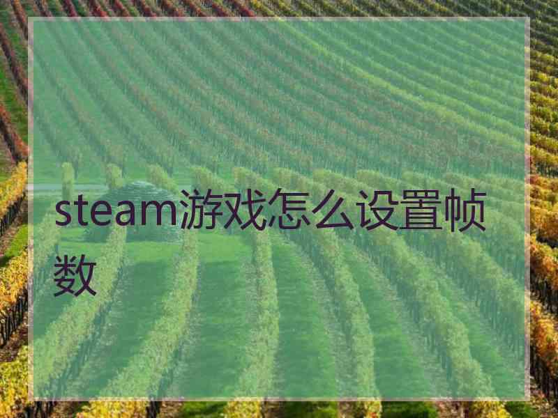 steam游戏怎么设置帧数