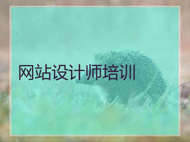 网站设计师培训