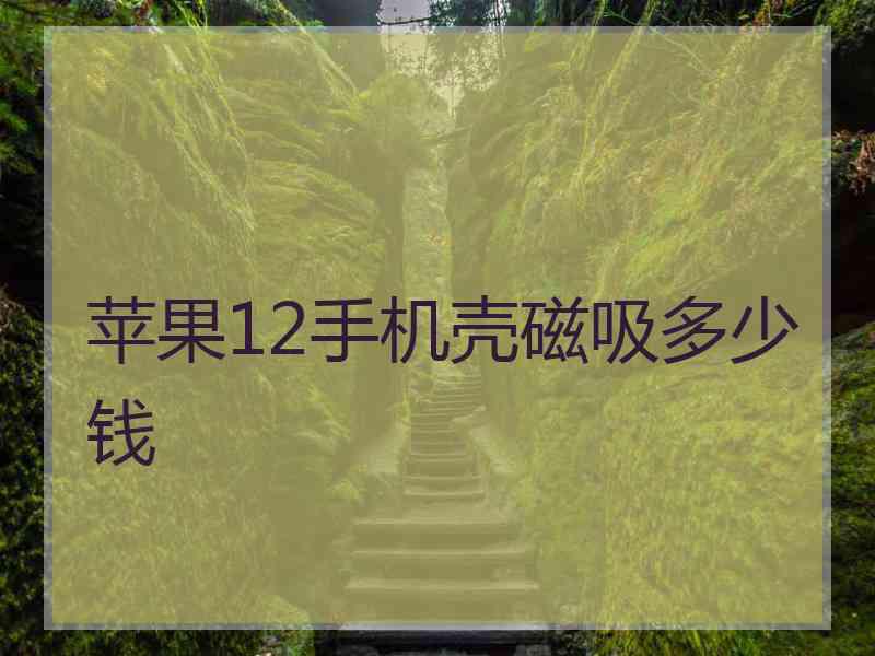 苹果12手机壳磁吸多少钱