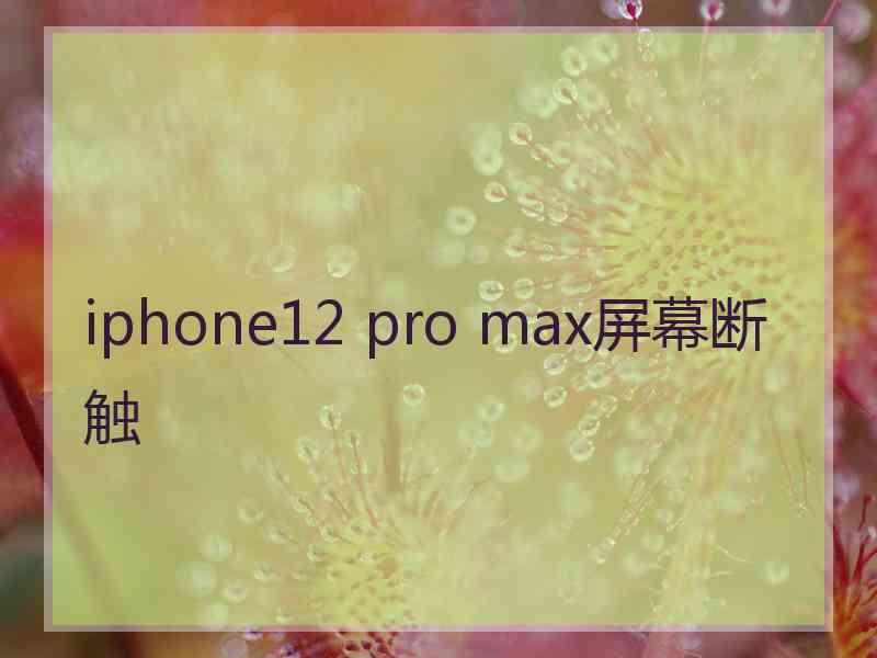 iphone12 pro max屏幕断触