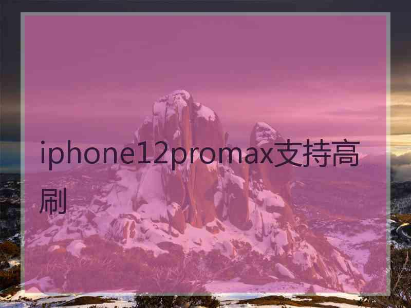 iphone12promax支持高刷