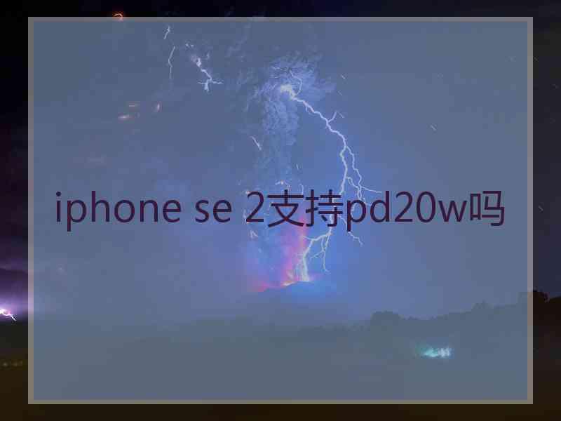 iphone se 2支持pd20w吗