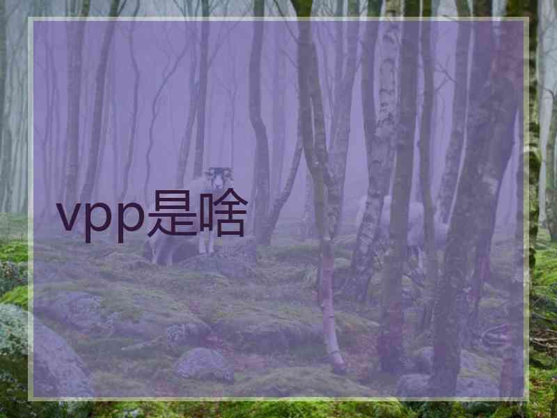 vpp是啥