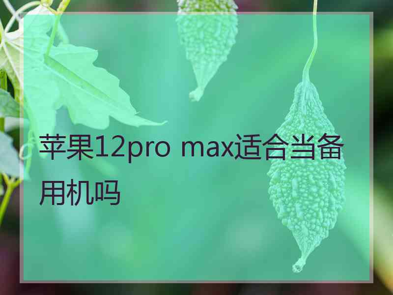 苹果12pro max适合当备用机吗