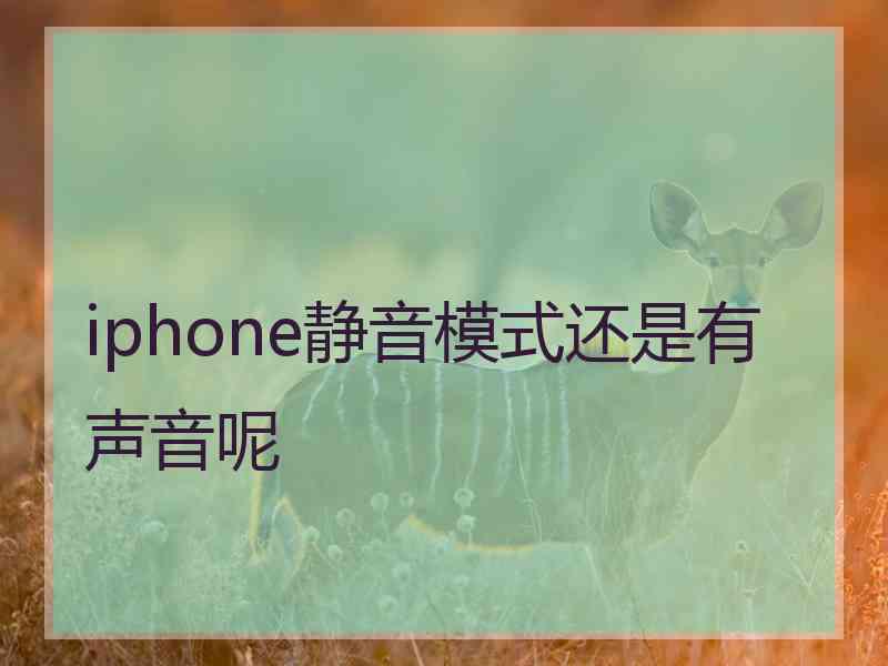 iphone静音模式还是有声音呢