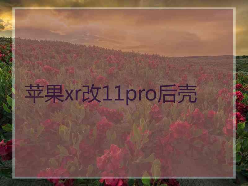 苹果xr改11pro后壳