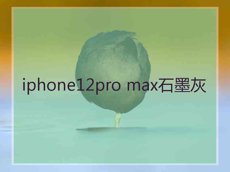 iphone12pro max石墨灰