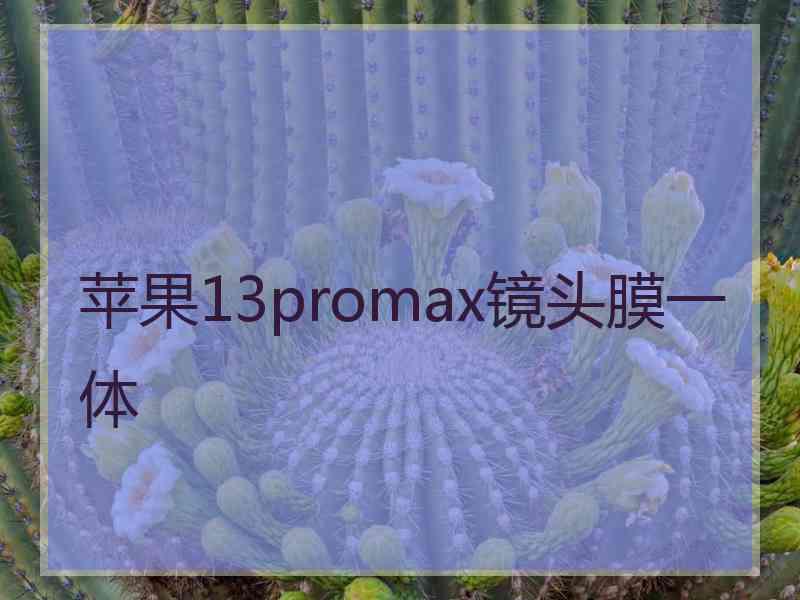 苹果13promax镜头膜一体