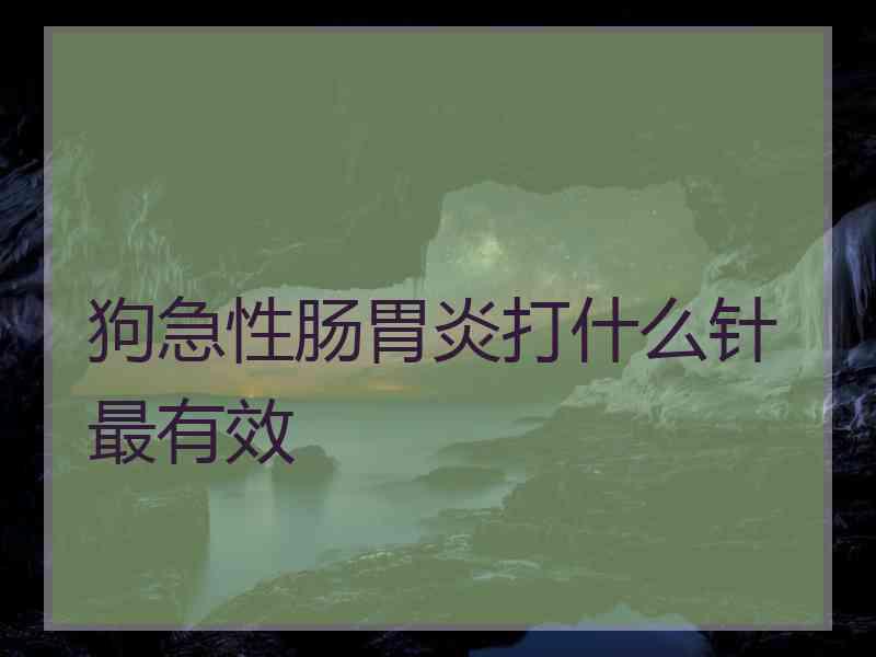 狗急性肠胃炎打什么针最有效