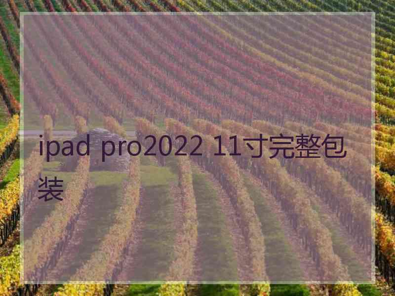 ipad pro2022 11寸完整包装