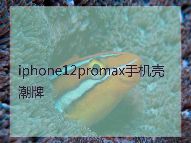 iphone12promax手机壳潮牌