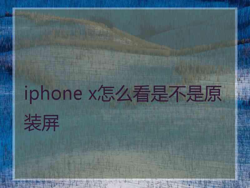 iphone x怎么看是不是原装屏