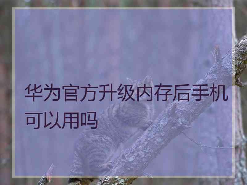 华为官方升级内存后手机可以用吗