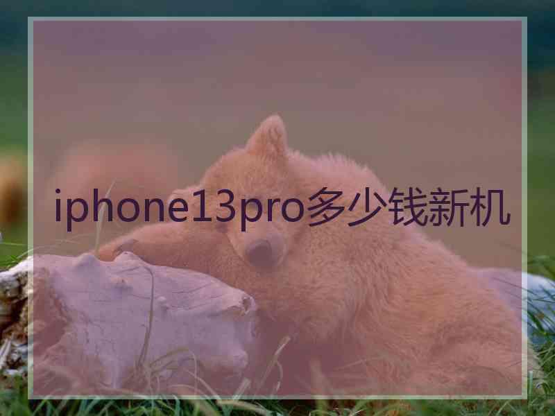 iphone13pro多少钱新机