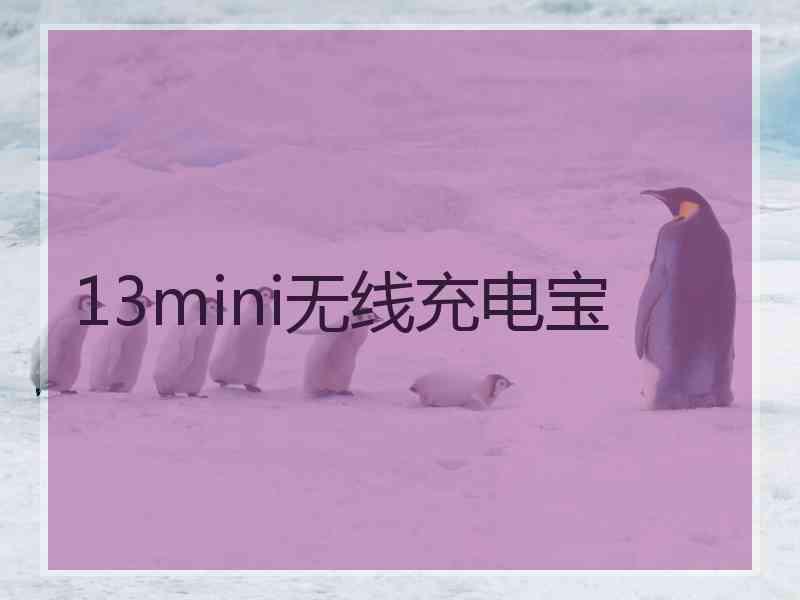 13mini无线充电宝