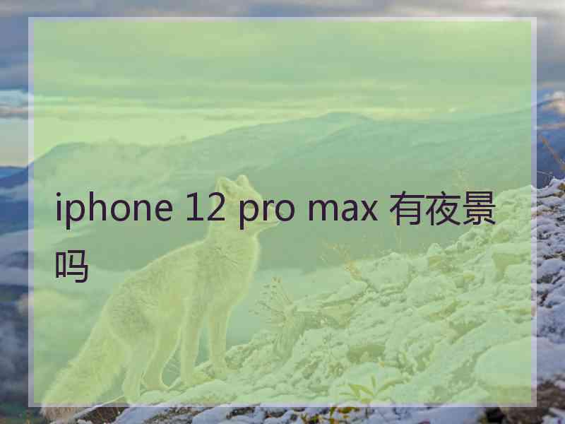 iphone 12 pro max 有夜景吗