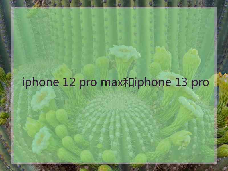 iphone 12 pro max和iphone 13 pro