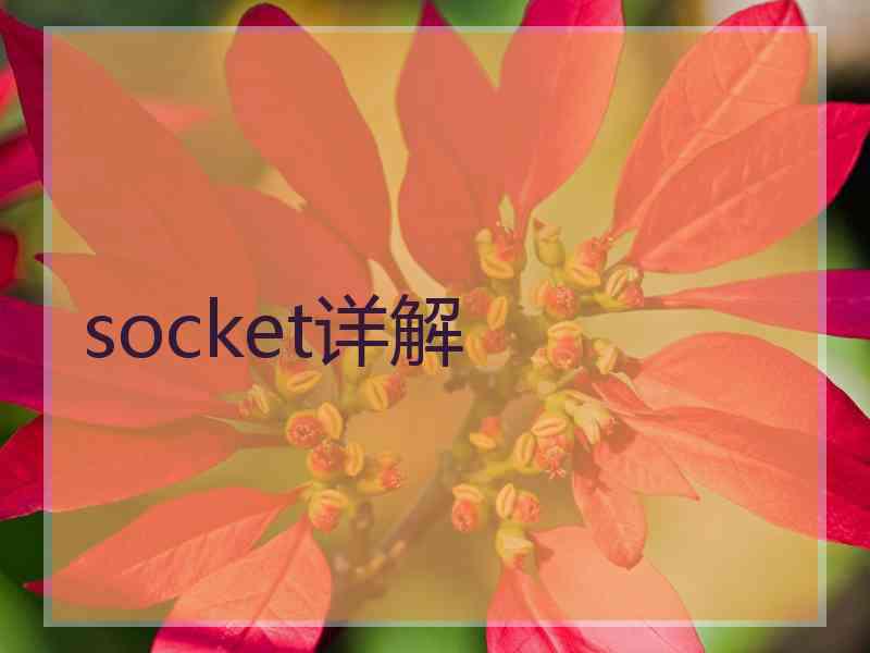 socket详解