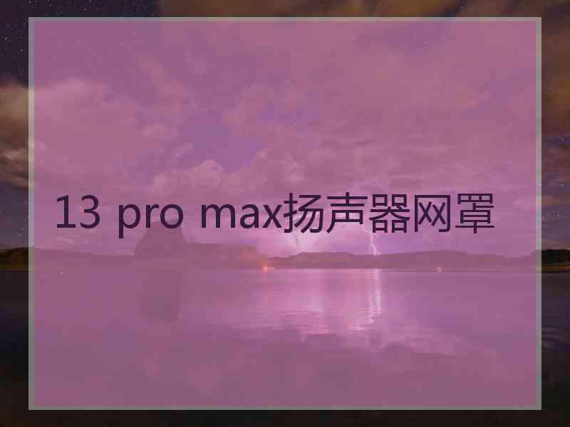 13 pro max扬声器网罩