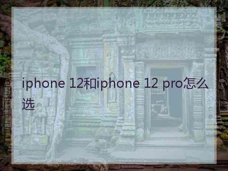 iphone 12和iphone 12 pro怎么选