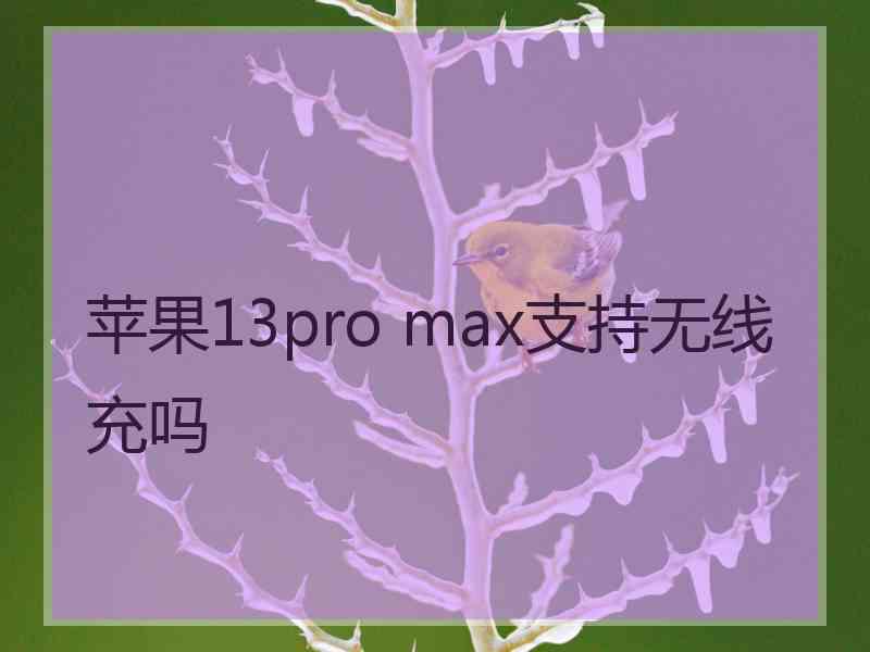 苹果13pro max支持无线充吗